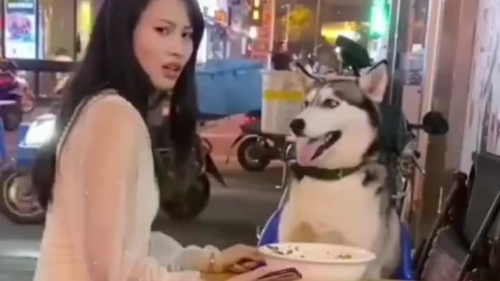 我笑了,它又不咬人